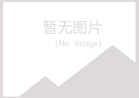 大新县冰蓝水泥有限公司